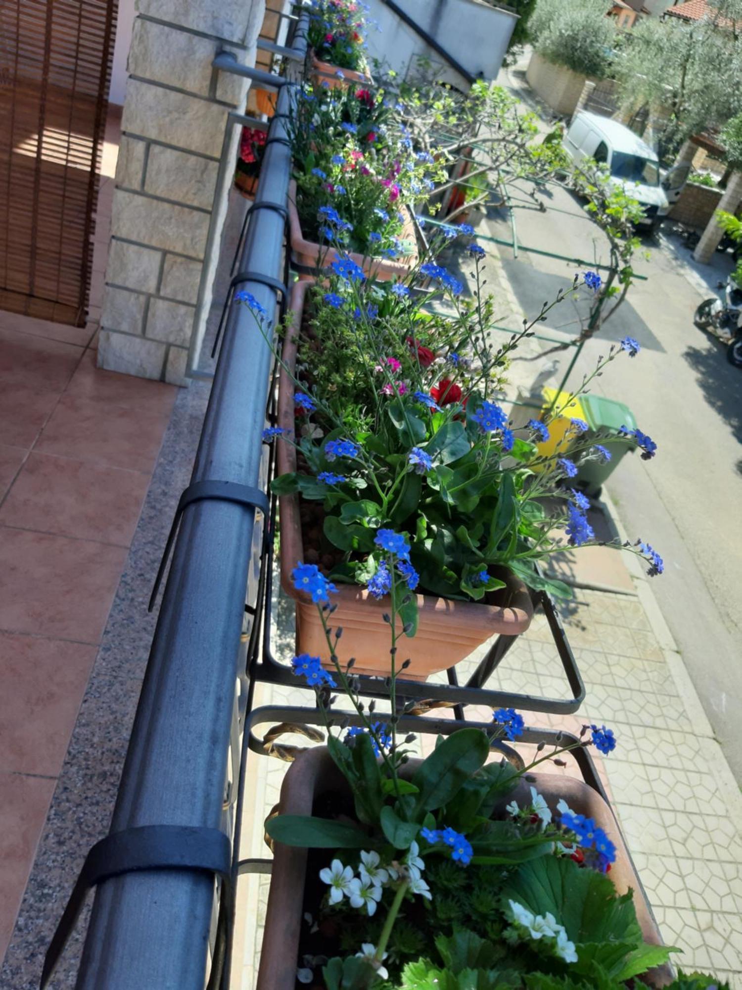 Adria Vrsar Apartment Luaran gambar