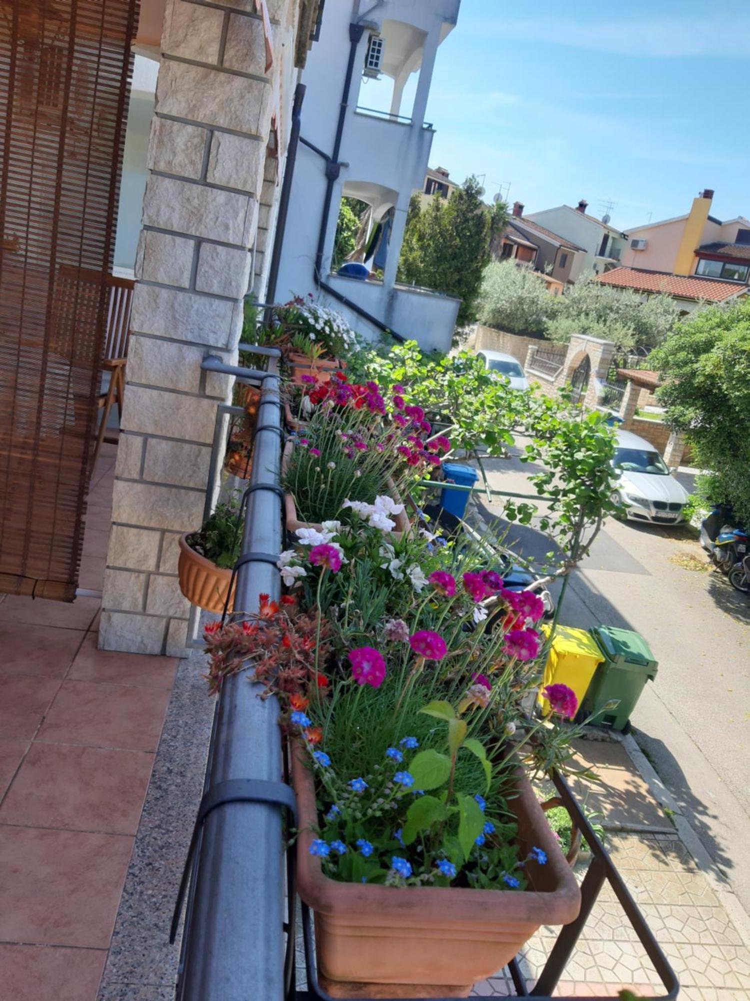 Adria Vrsar Apartment Luaran gambar