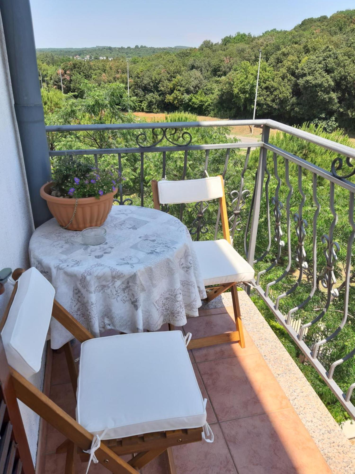 Adria Vrsar Apartment Luaran gambar