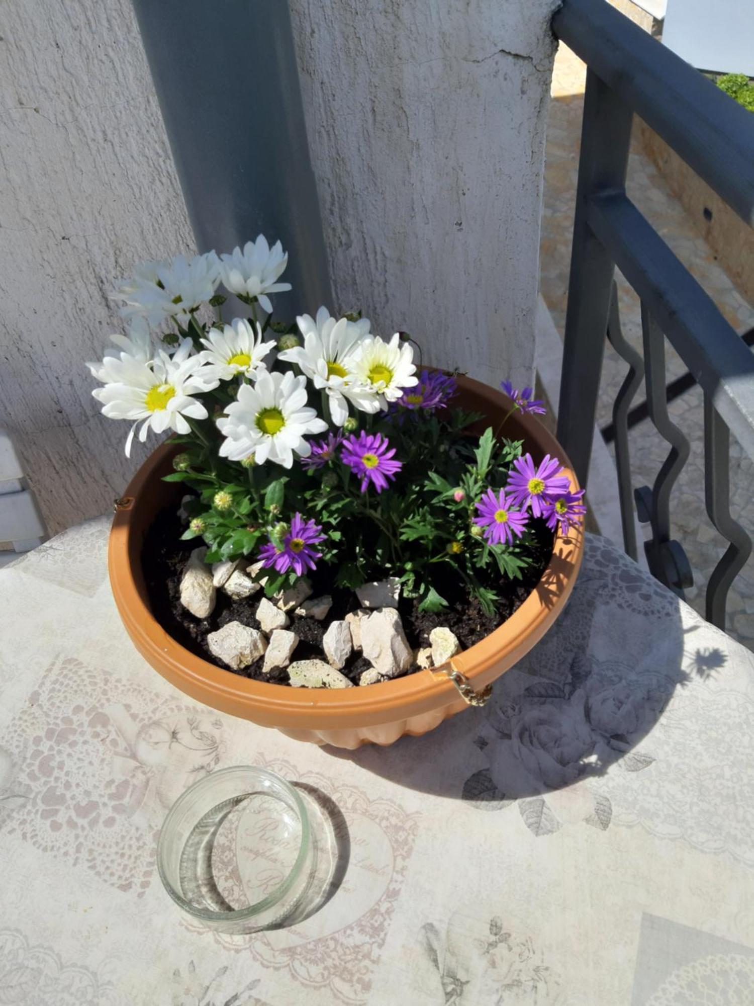 Adria Vrsar Apartment Luaran gambar