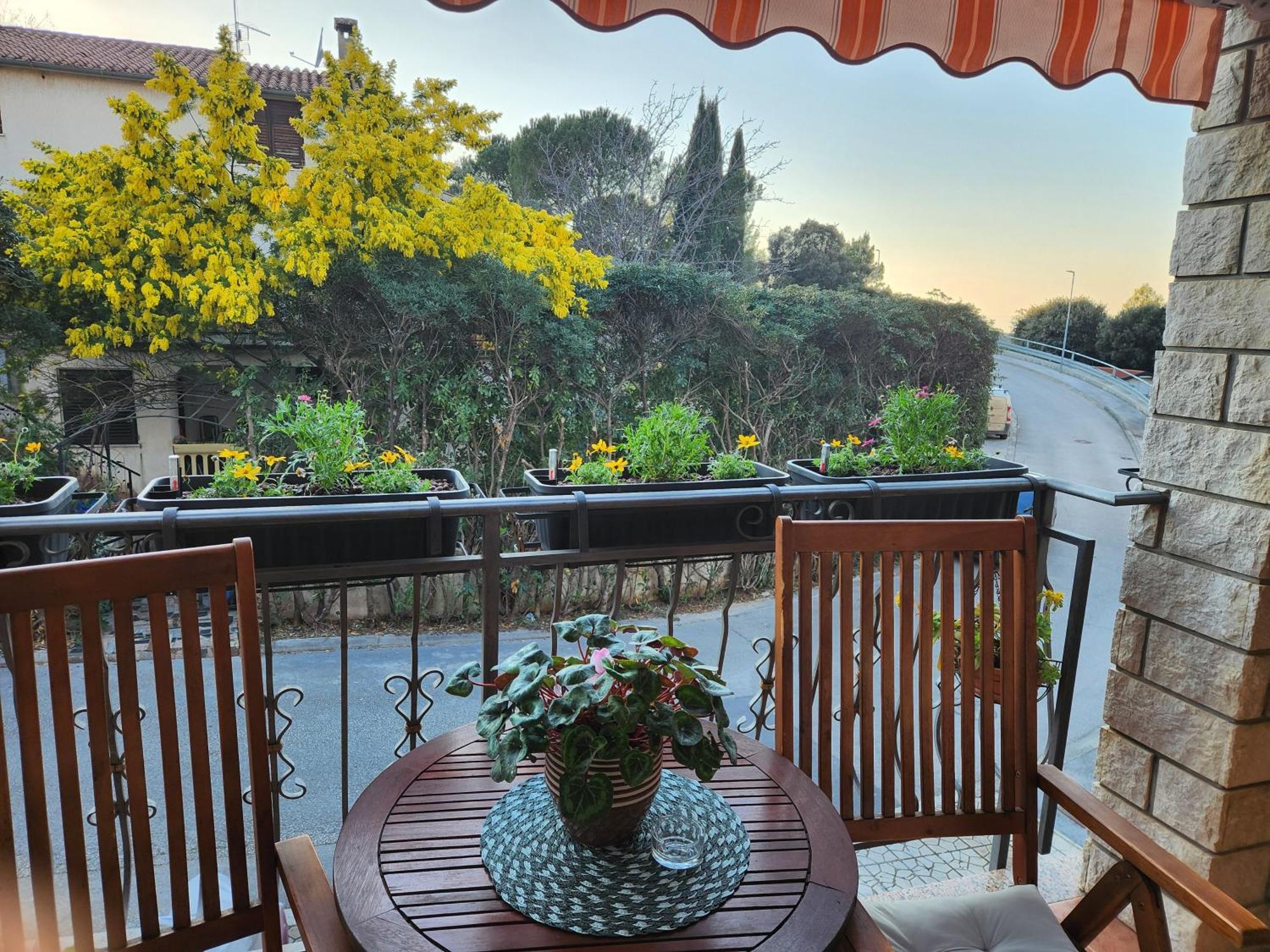 Adria Vrsar Apartment Luaran gambar